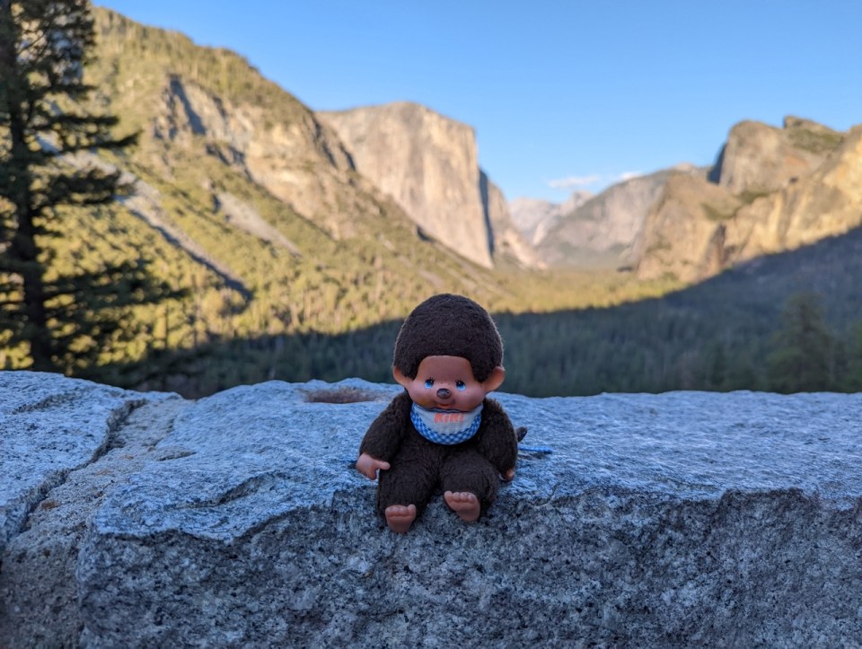 Kiki au Yosemite National Park