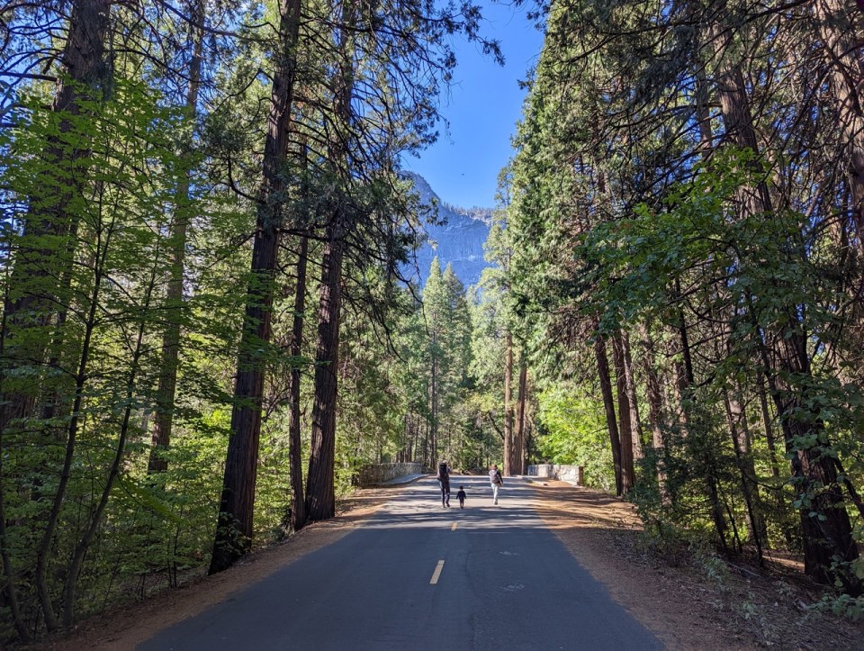 Mirror Lake dans le Yosemite National  Park