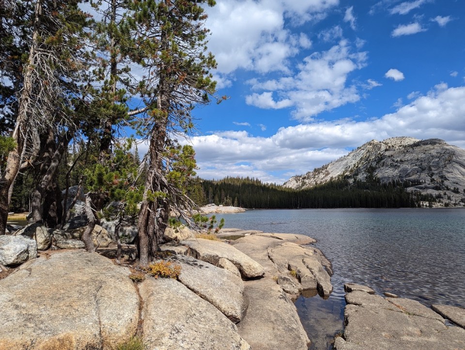 Tenaya Lake sur la Tioga Road