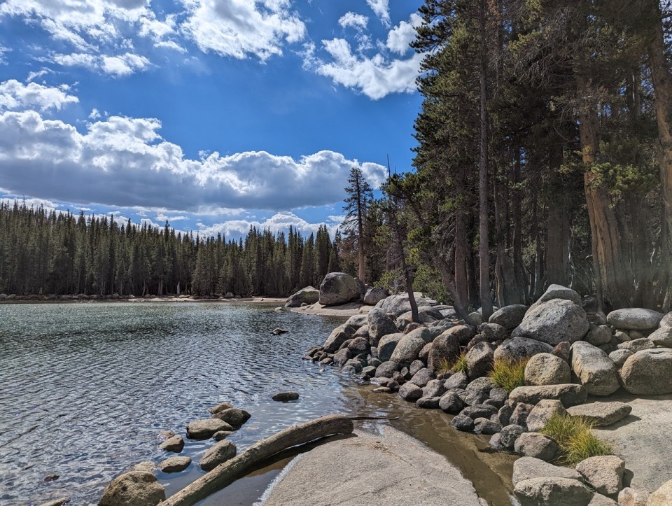 Tenaya Lake sur la Tioga Road