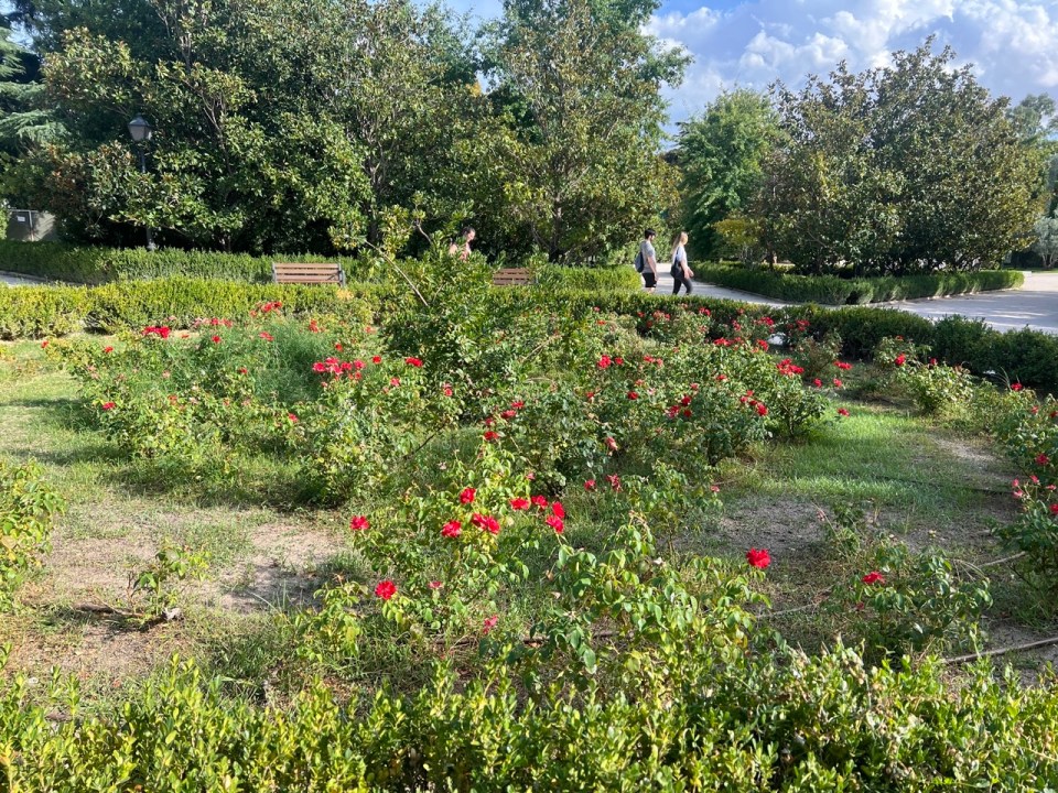 Parc du Retiro à Madrid