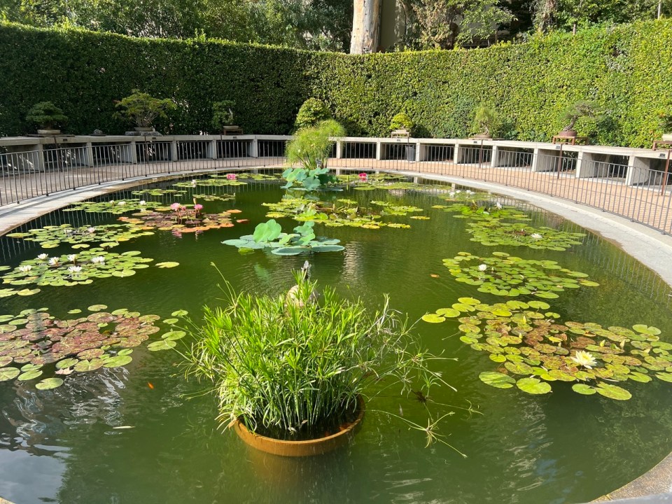 jardin botanique à Madrid