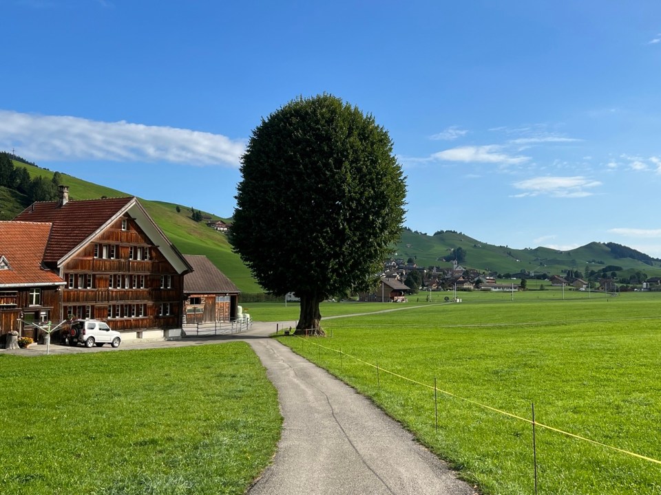 promenade pieds nus de Jakobsbad à Gontenbad