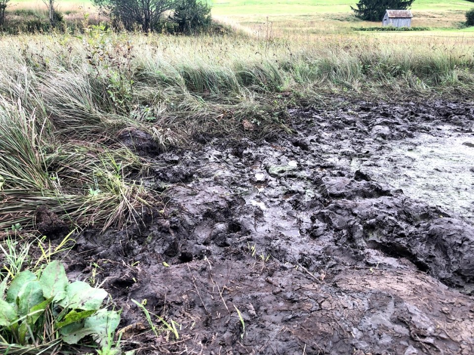 promenade pieds nus de Jakobsbad à Gontenbad