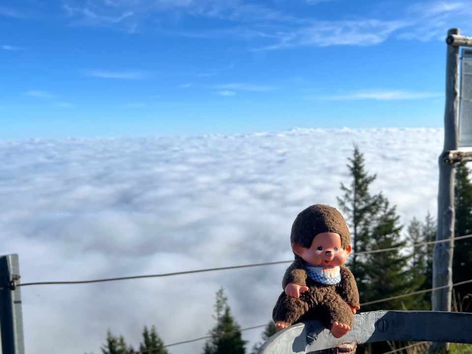 Kiki visite la région d'Appenzell