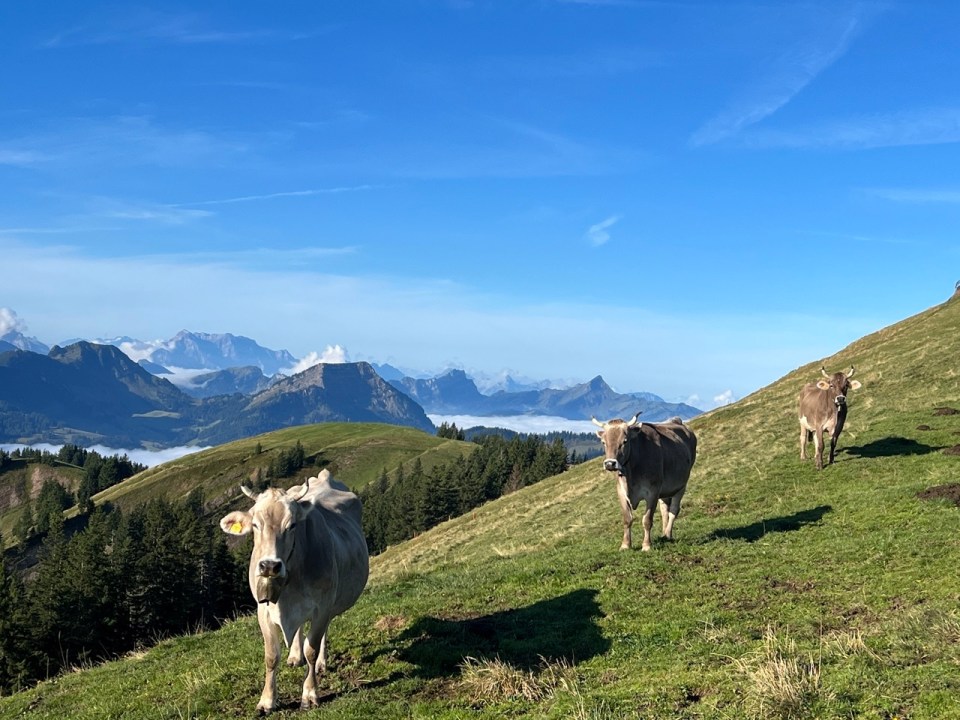 aller au sommet du Kronberg e, Appenzell