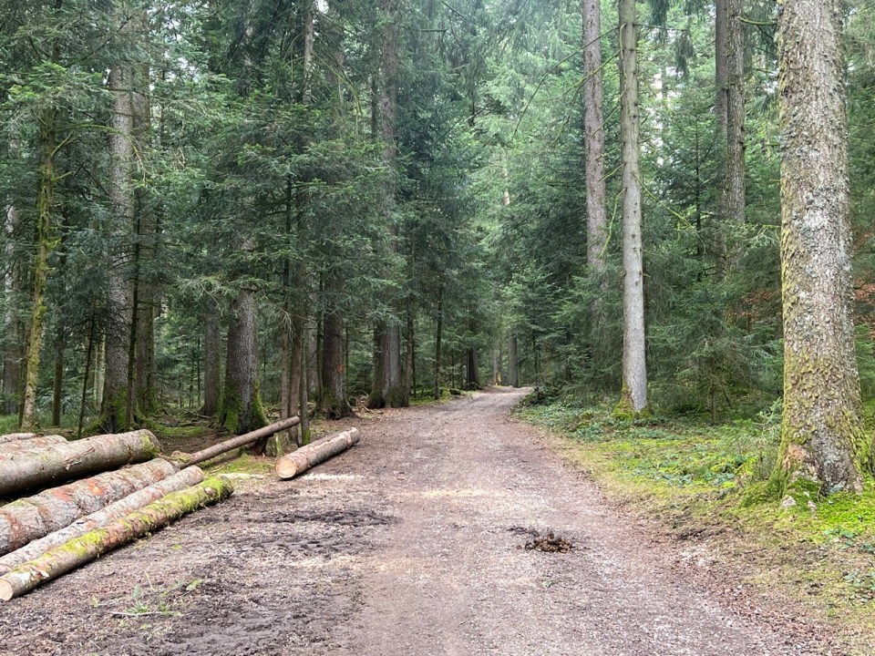 Röthenbach im Emmental