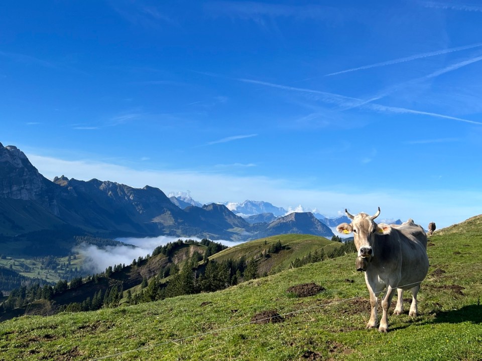 découvrir la région d'Appenzell 