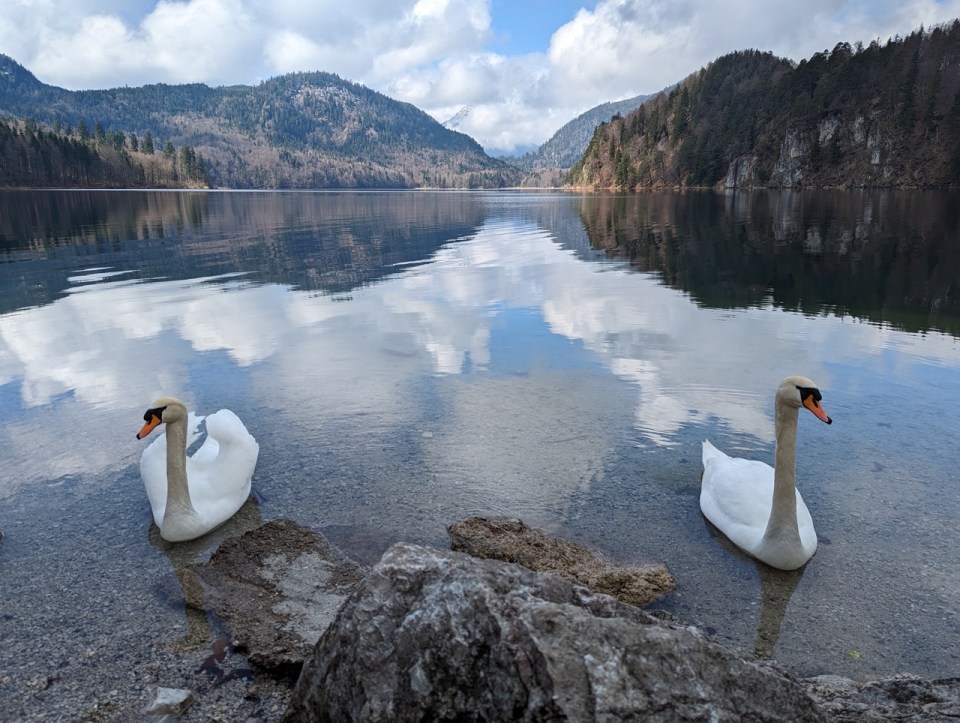 Visiter le château de Neuschwanstein 