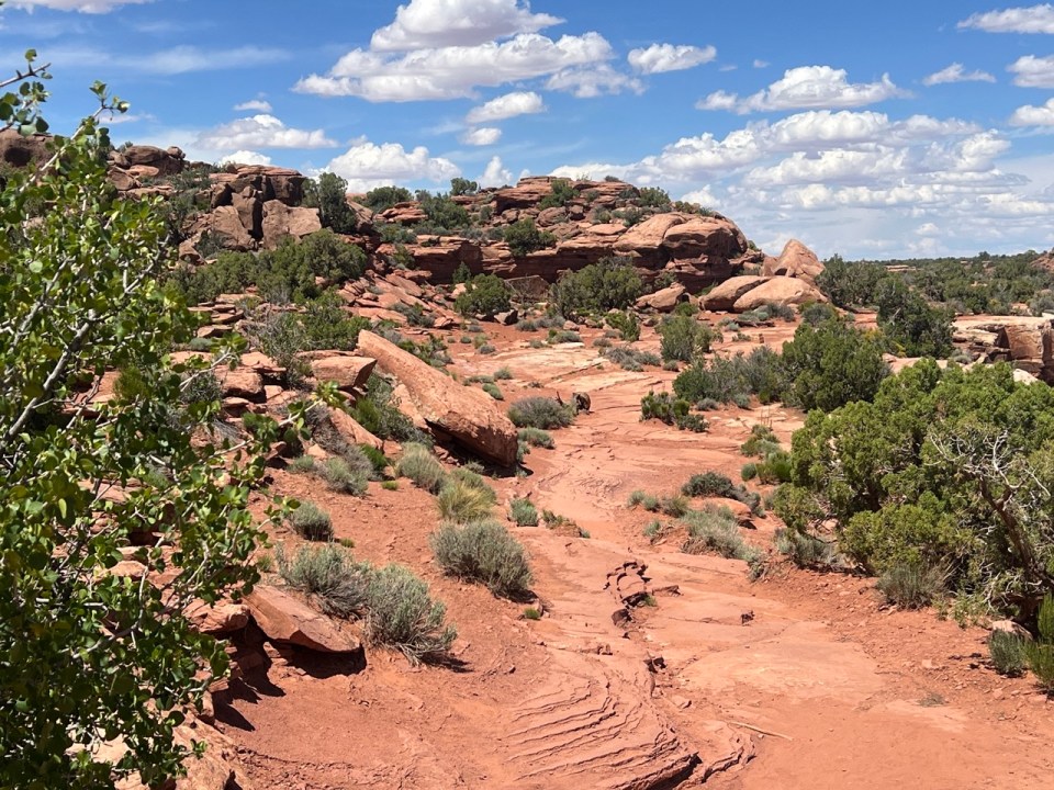 Grand View Point à Canyonlands National Park