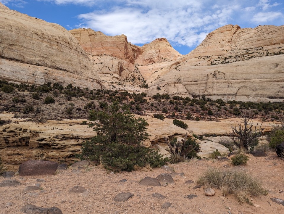 Hickman Bridge Trail 