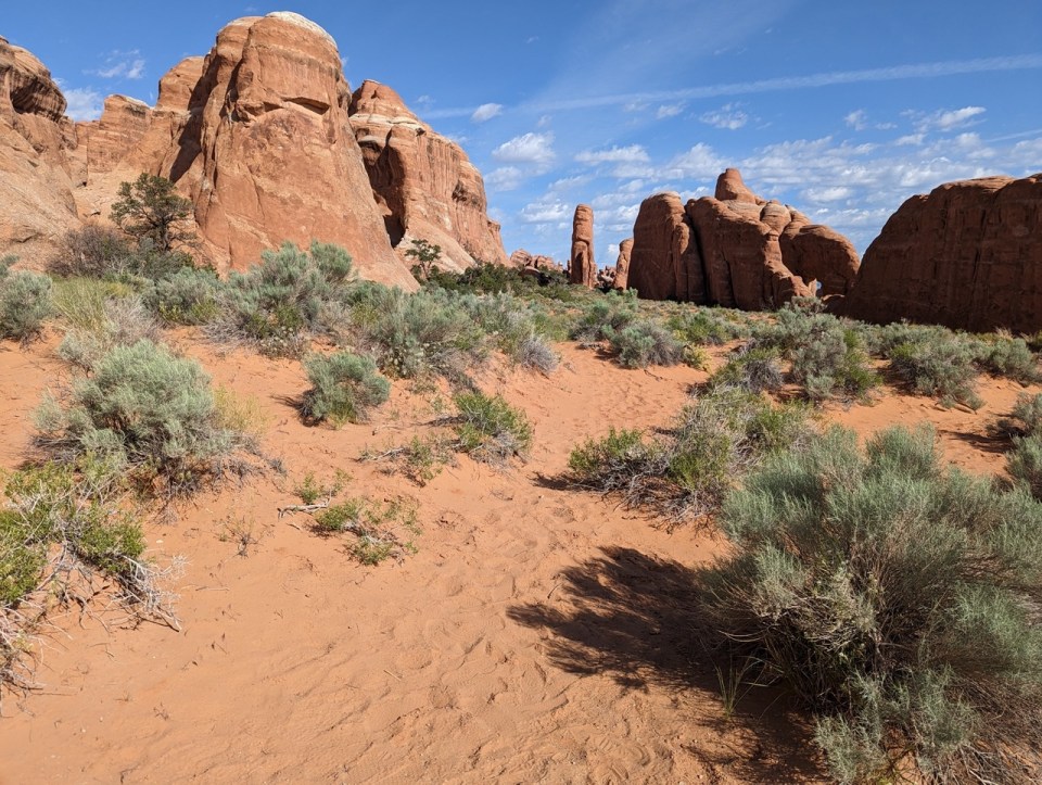 Devil's Garden Arches National Park