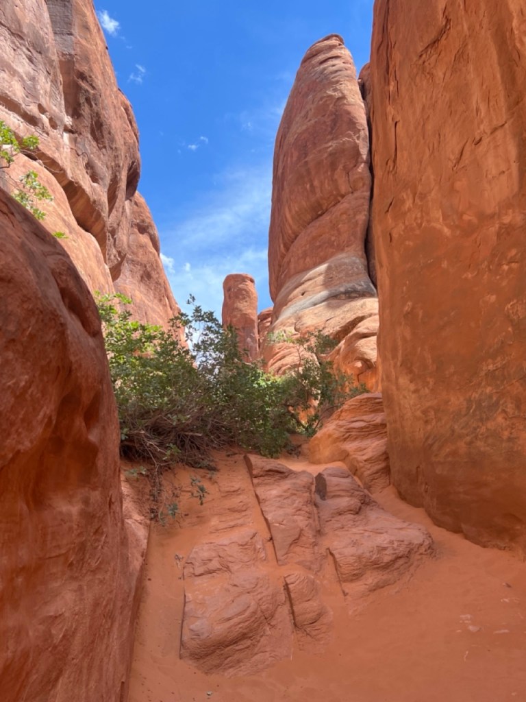 Sand Dune Arch Trail 