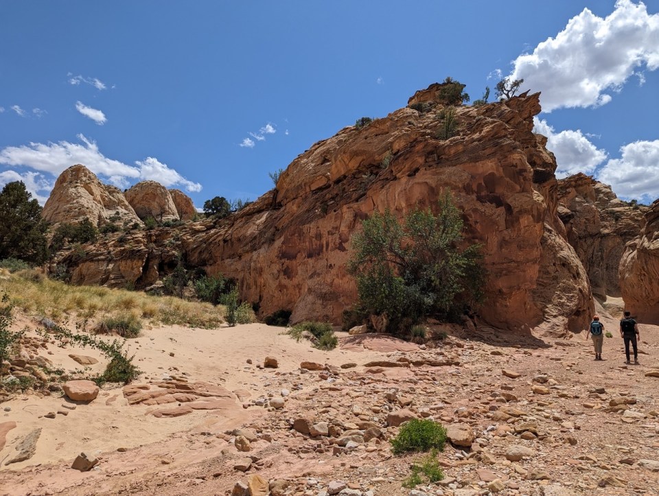 Capitol Gorge Trail dans le Capitol Reef National Park
