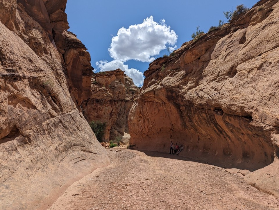 Capitol Gorge Trail dans le Capitol Reef National Park