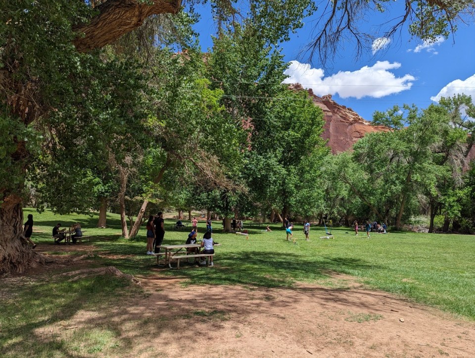 Fruita dans le Capitol Reef National Park