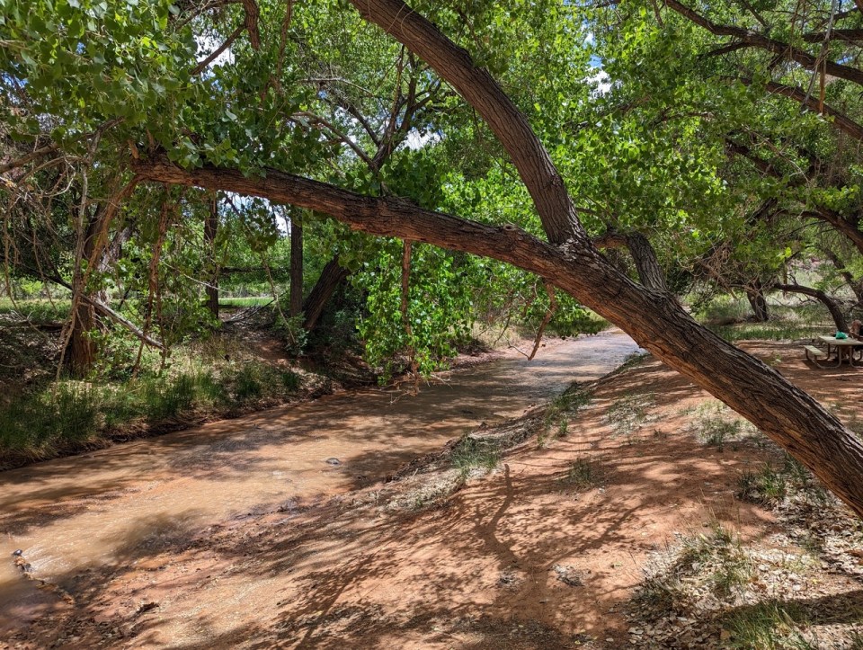 Fruita dans le Capitol Reef National Park