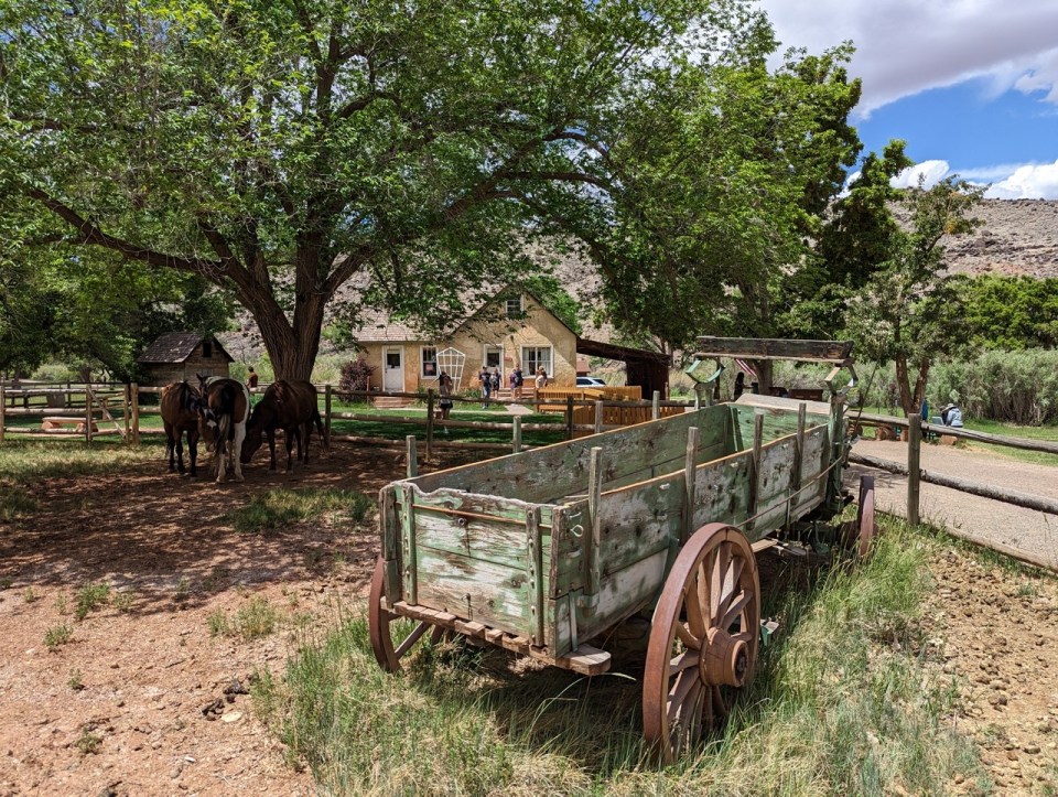 Fruita dans le Capitol Reef National Park