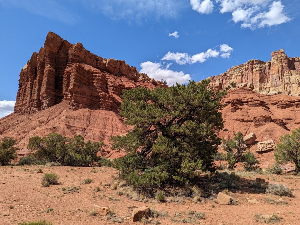 Capitol Reef Scenic Drive