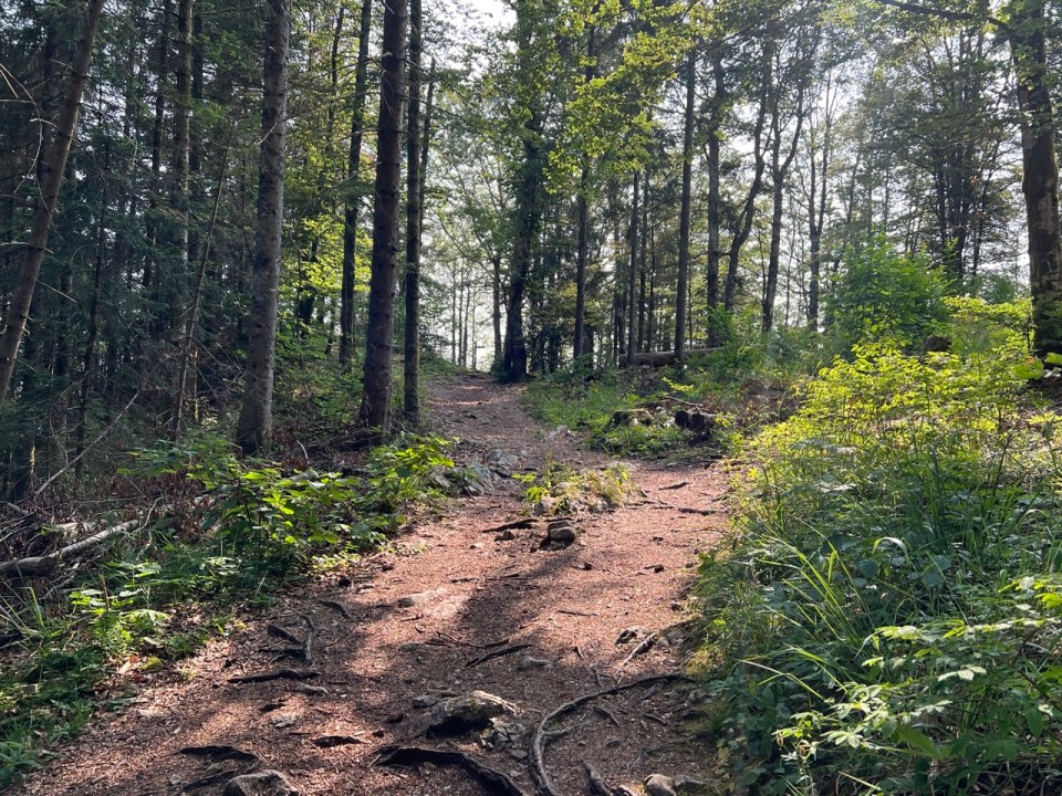 Belvédère des Deux Lacs