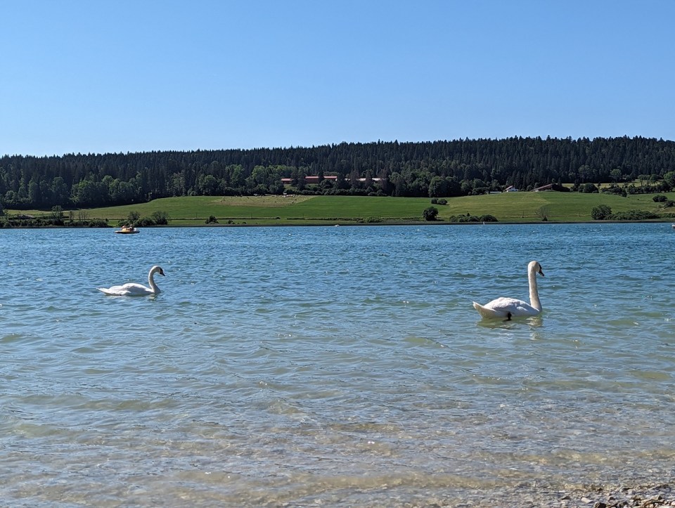 le lac Saint-Point situé à proximité de Pontarlier