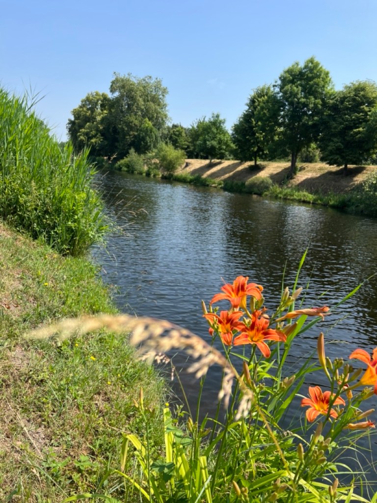 promenade en bord de Loire à Roanne