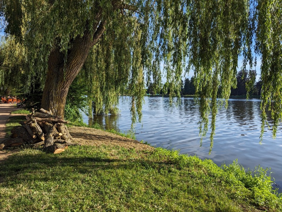 Parc des sources de Vichy 