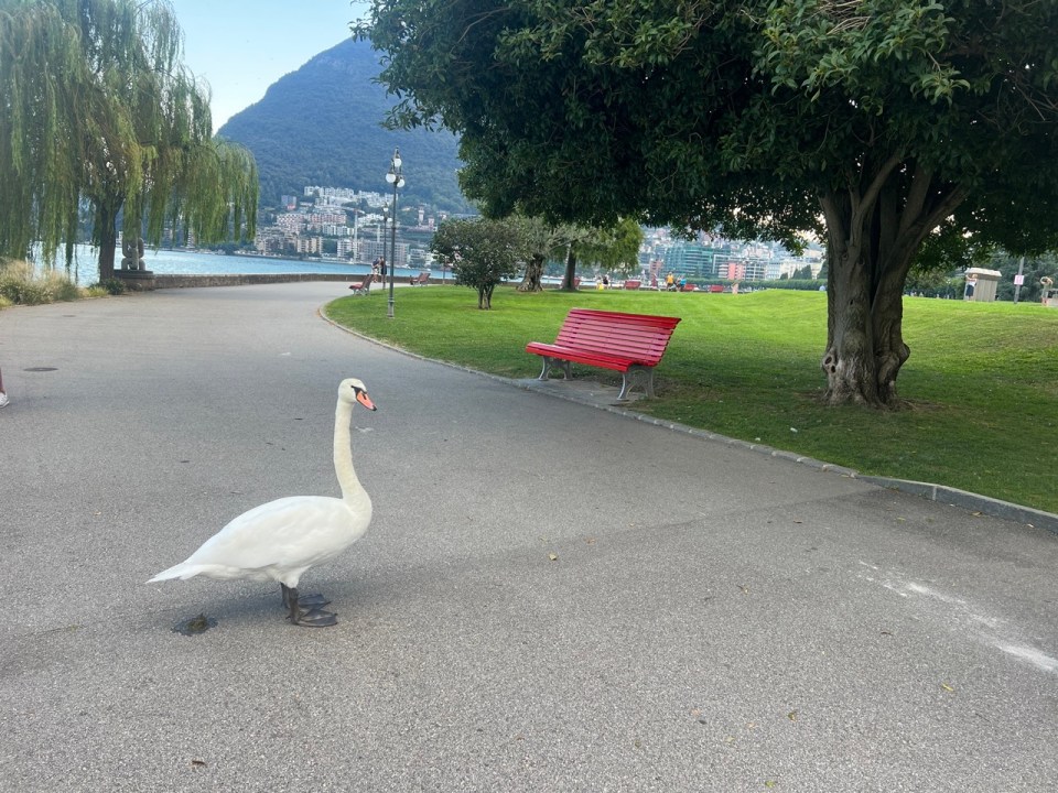 lac de Lugano