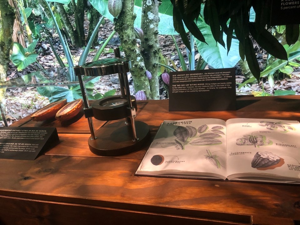 Lindt Home of Chocolate