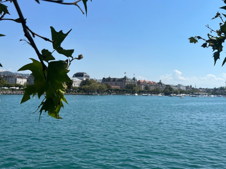 lac de Zurich