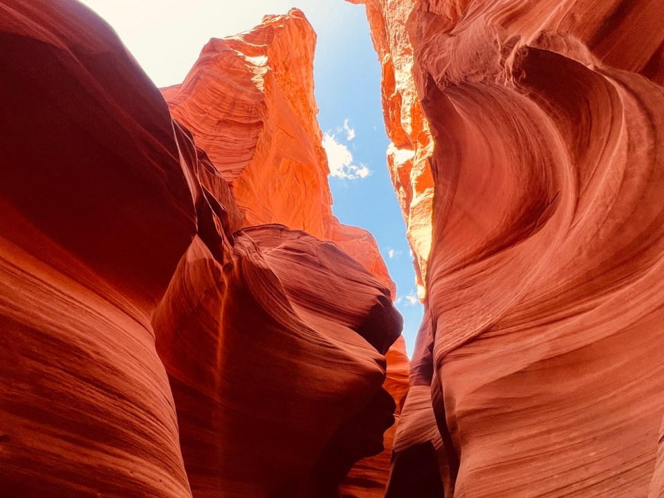 Canyon Antelope X à Page
