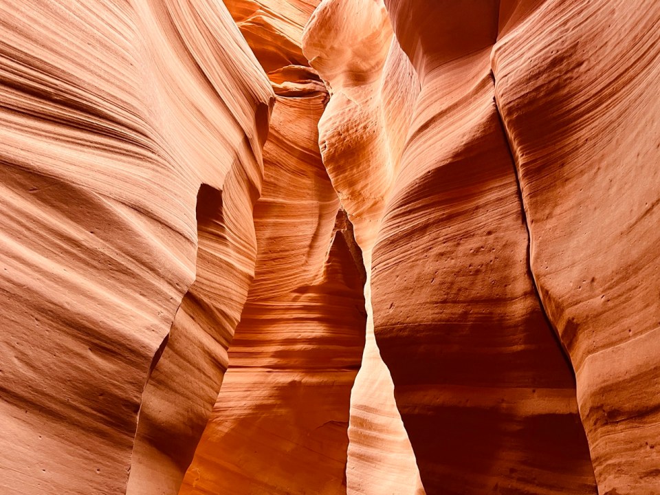 Canyon Antelope X