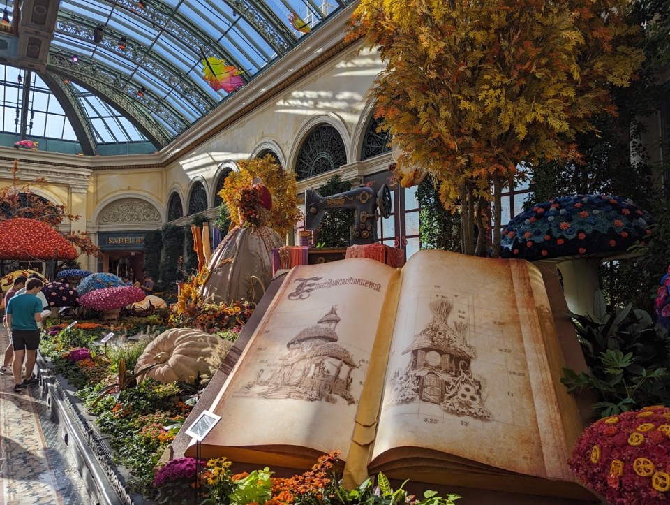 spectacle "O" du Cirque du Soleil