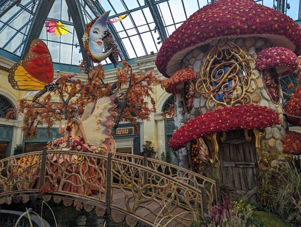 spectacle "O" du Cirque du Soleil