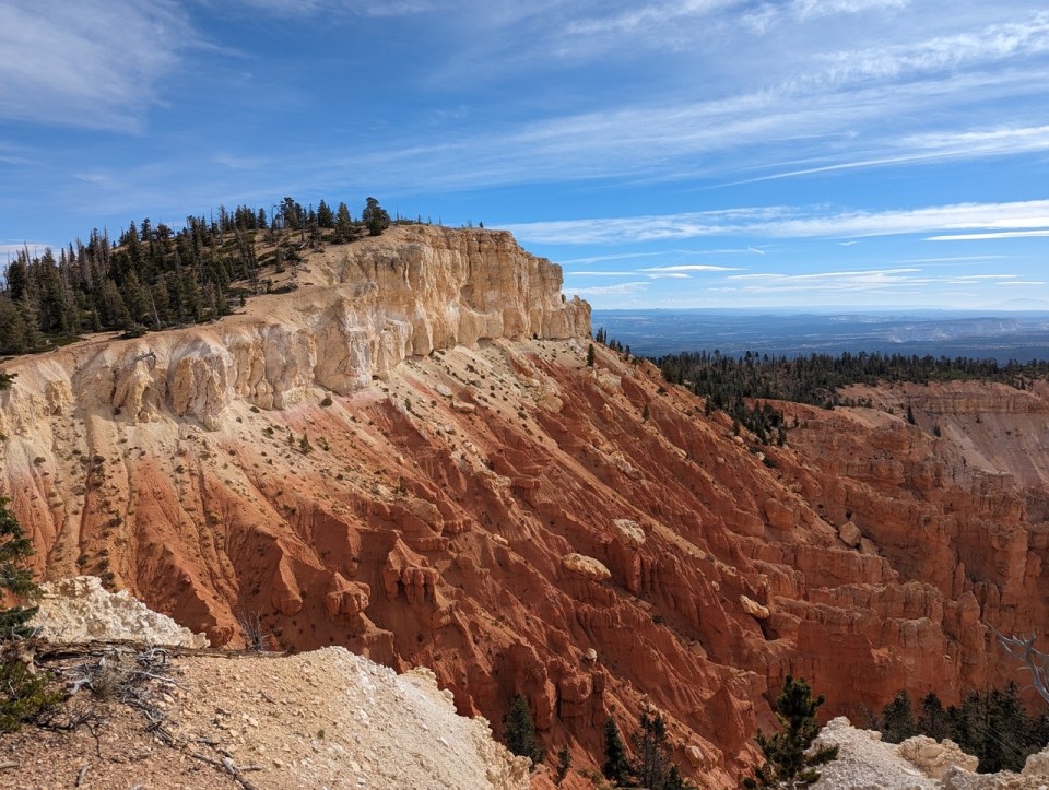 Bristlecone Loop