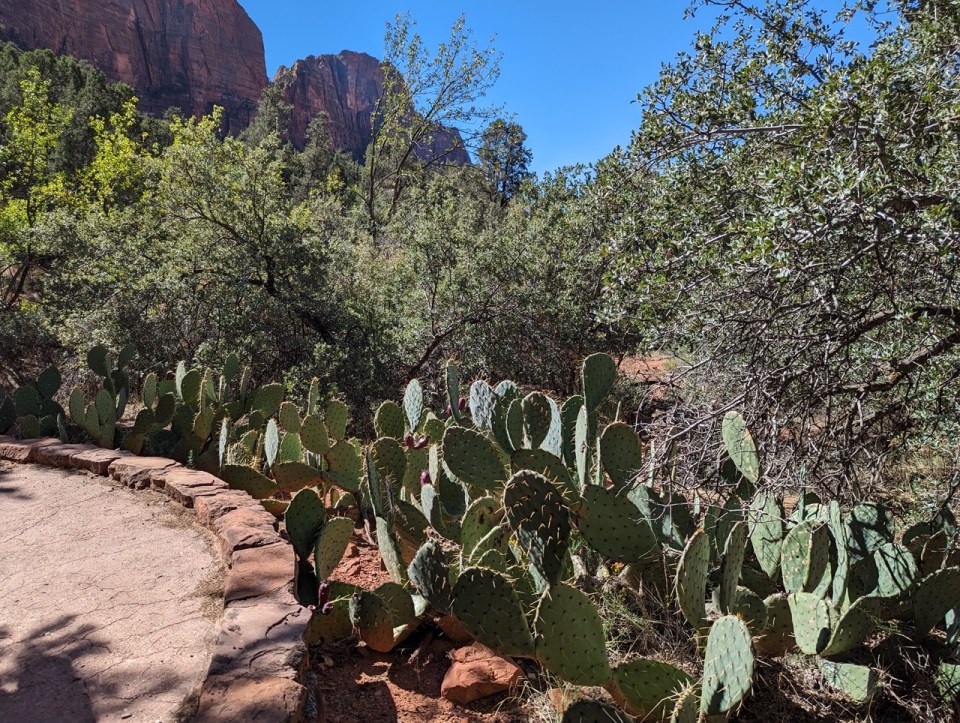 Court of the Patriarchs à Zion