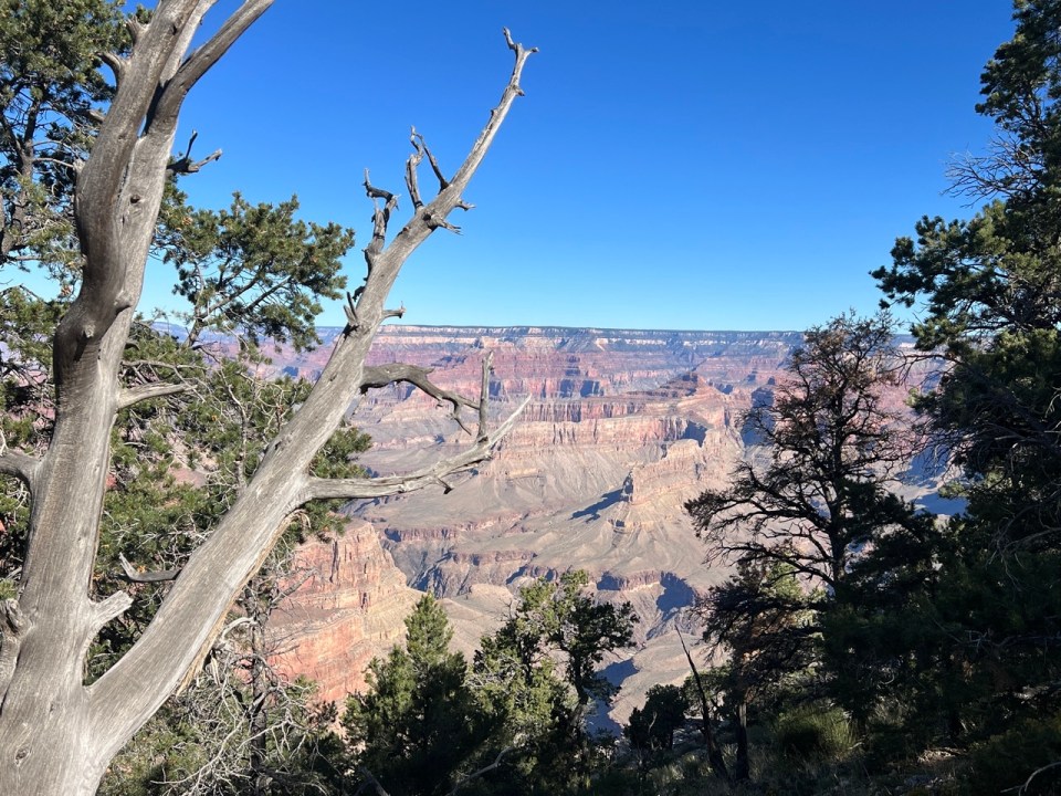 Rim trail  Grand Canyon