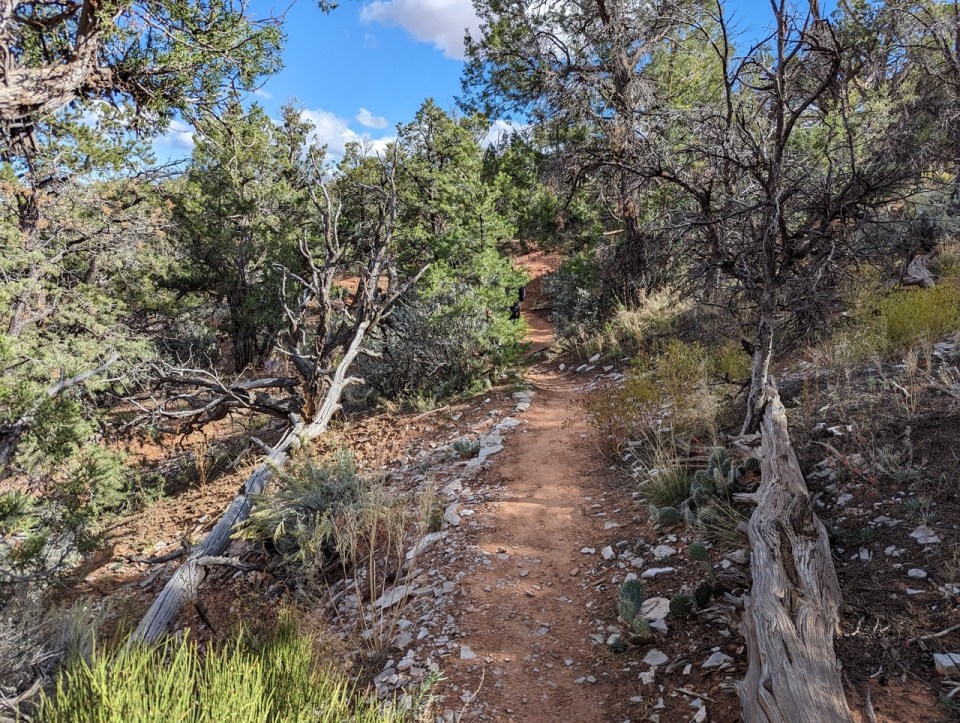 Navajo National Monument 