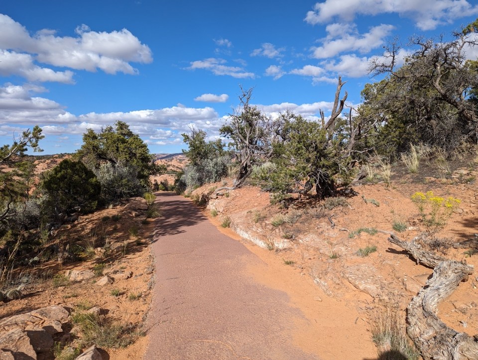Navajo National Monument 