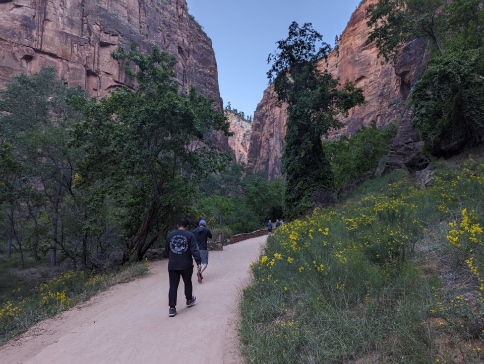 randonnée Riverside Walk à Zion
