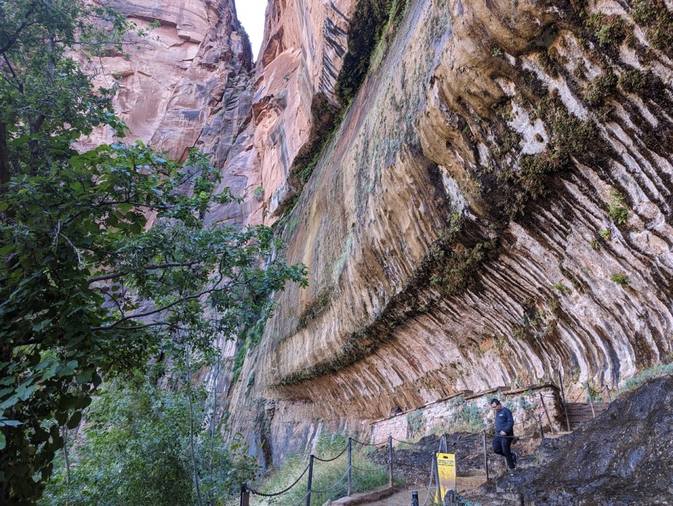 Weeping Rock Trail 