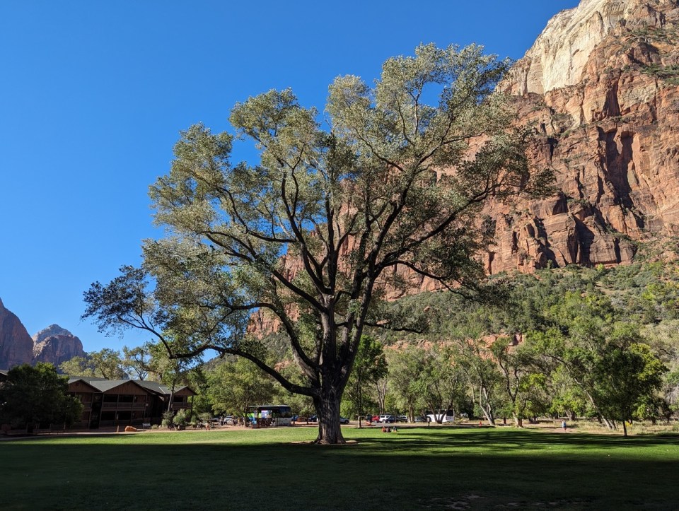 Zion Lodge
