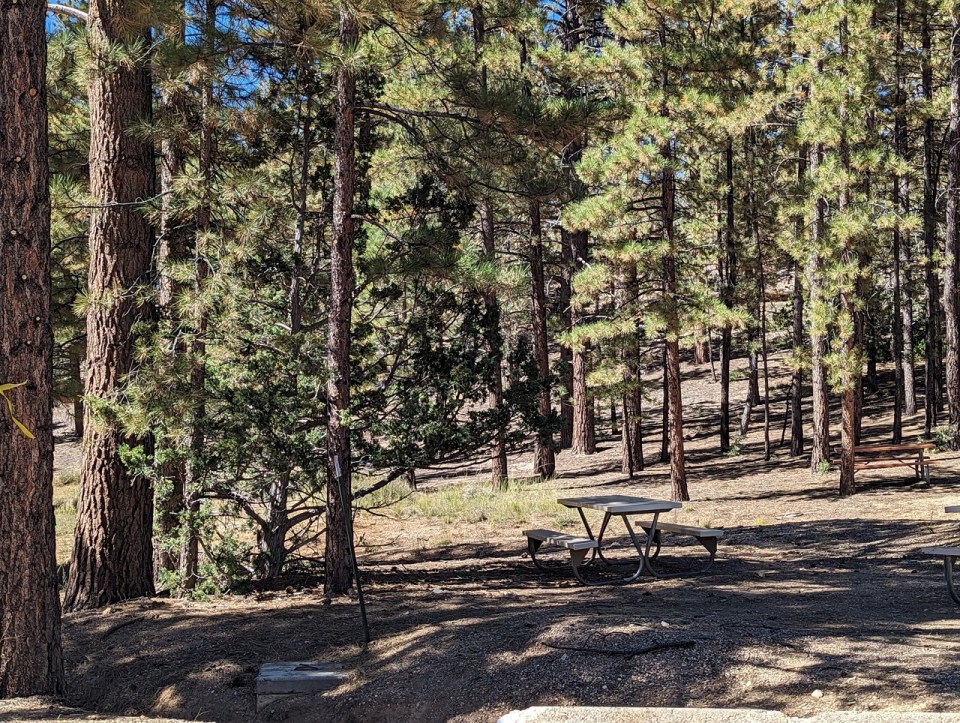 manger à Bryce Canyon National Park