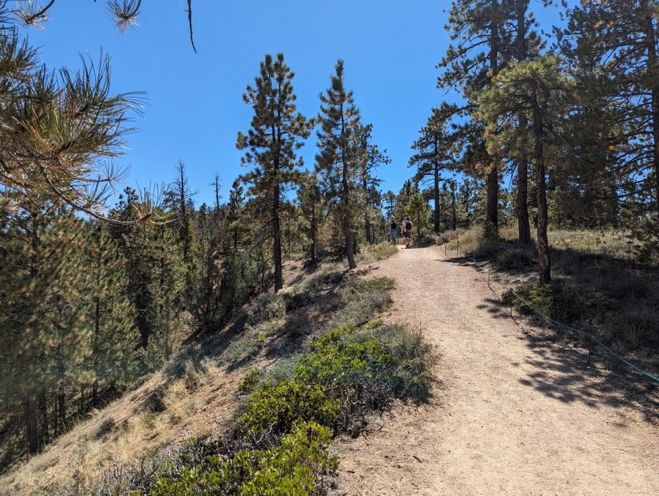Rim Trail à Bryce Canyon Park