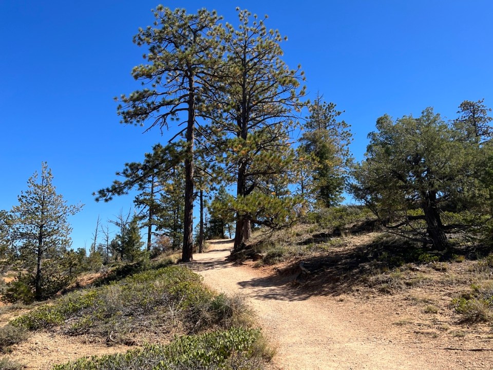 Rim Trail à Bryce Canyon Park