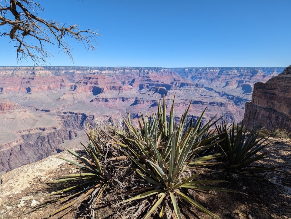 Rim trail  Grand Canyon