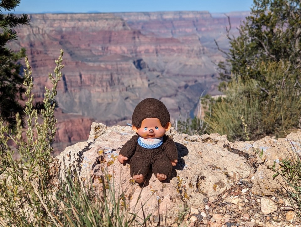 Visiter le Grand Canyon National Park