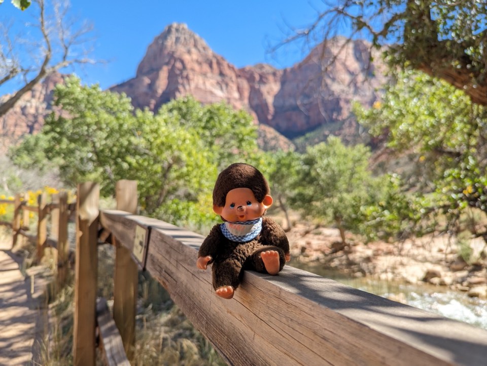 visite de Zion National Park 