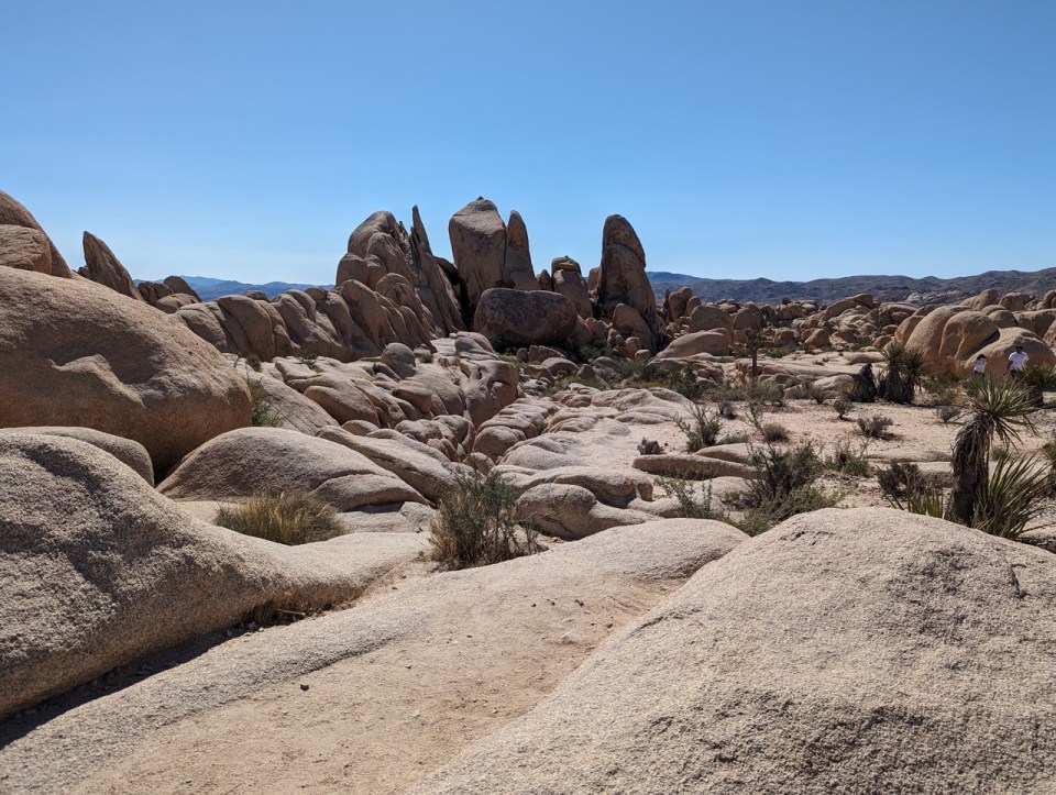Arch Rock Trail à Joshua Tree National Park 