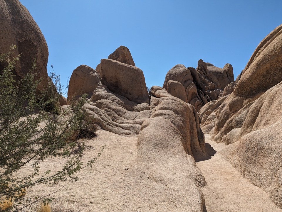 Arch Rock Trail à Joshua Tree National Park 